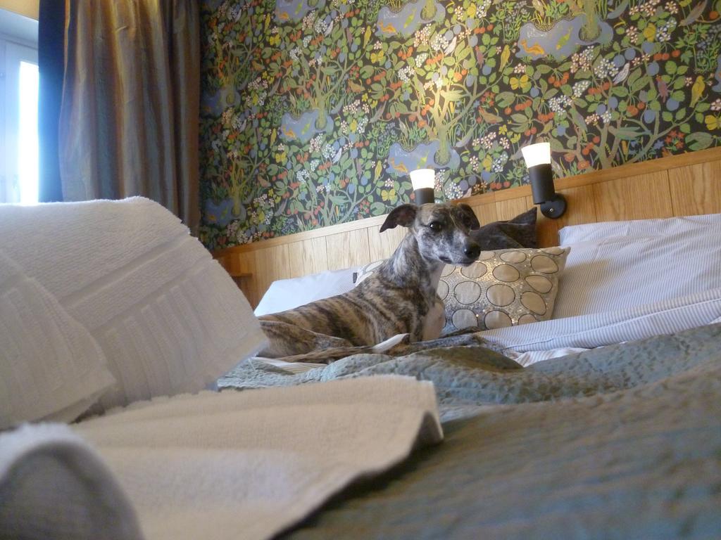 Sankt Olof Hotell & Krog Малунг Екстериор снимка