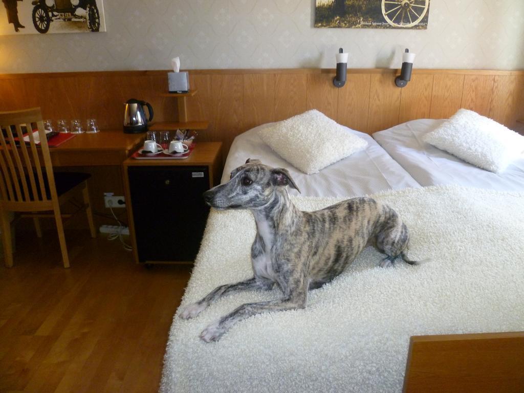 Sankt Olof Hotell & Krog Малунг Екстериор снимка